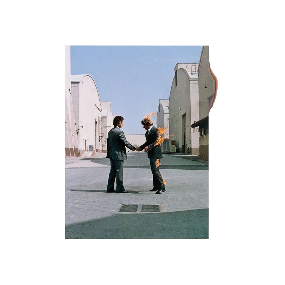 Wish You Were Here (180g) Vinyl LP