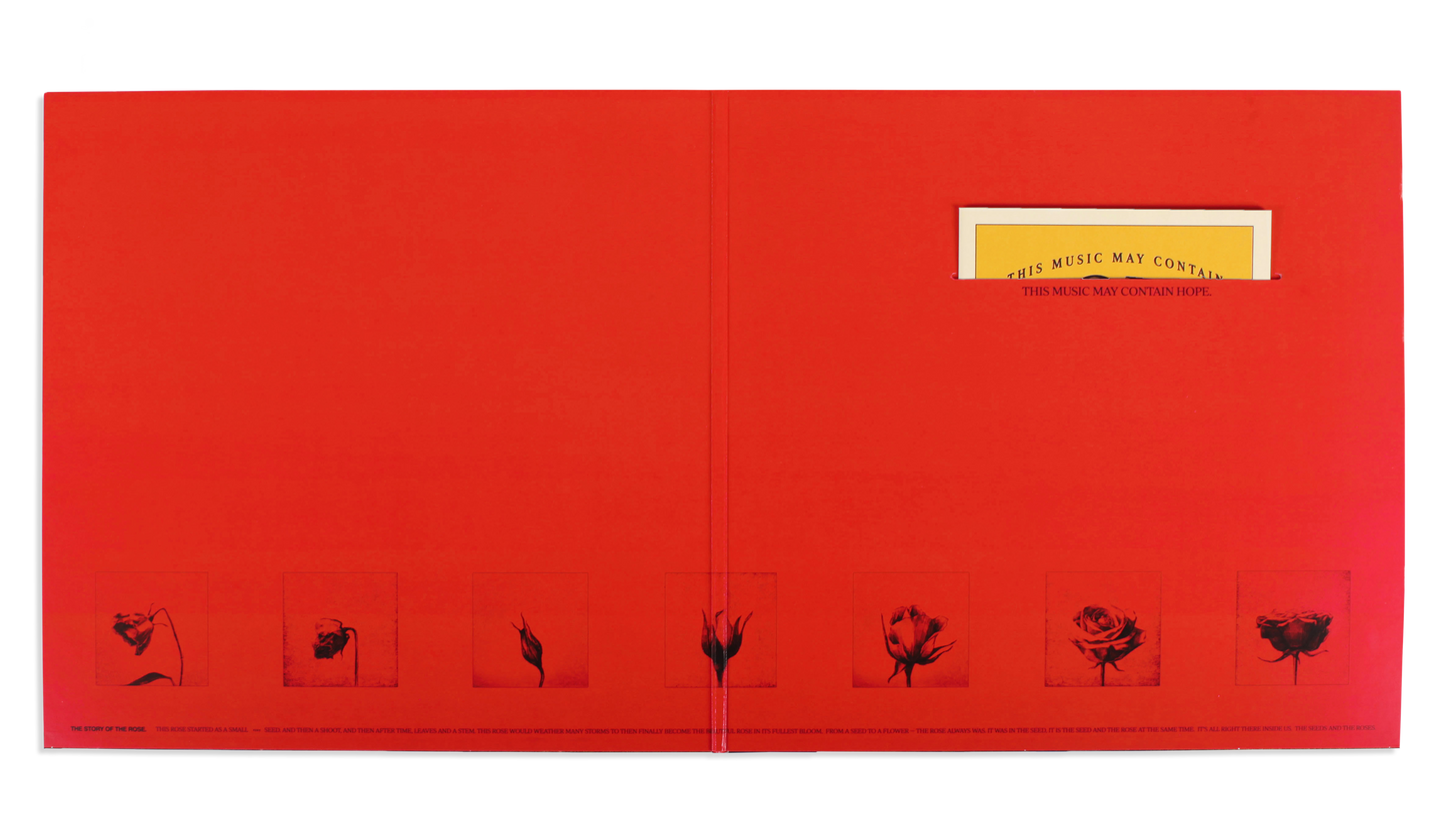This Music May Contain Hope:
Double Vinyl