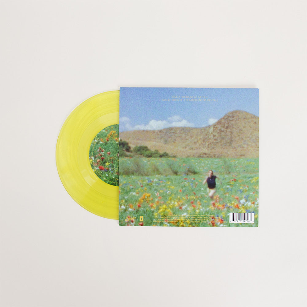BIRDS OF A FEATHER 7" VINYL [TRANSLUCENT GREEN]